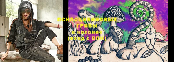 дживик Семёнов