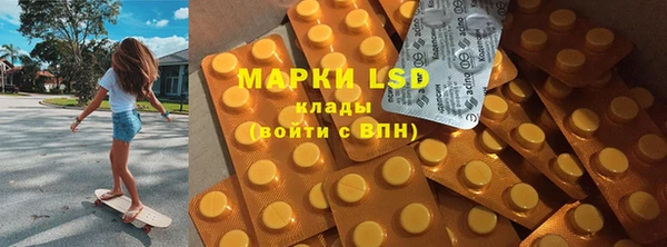 PSILOCYBIN Аркадак